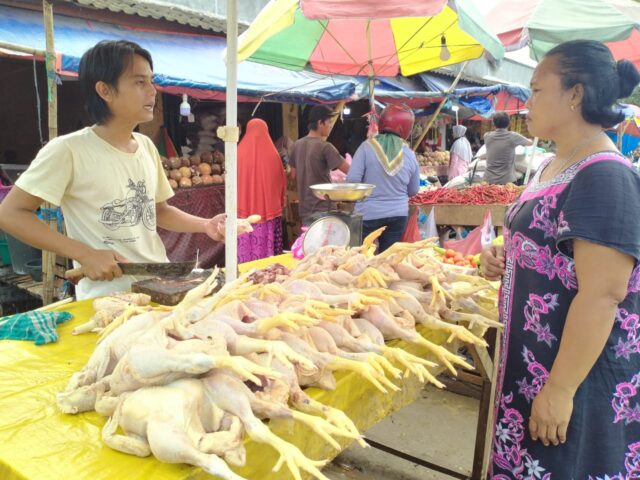 Ayam Potong