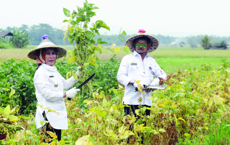 Bupati Serang bersama Menteri Pertanian.