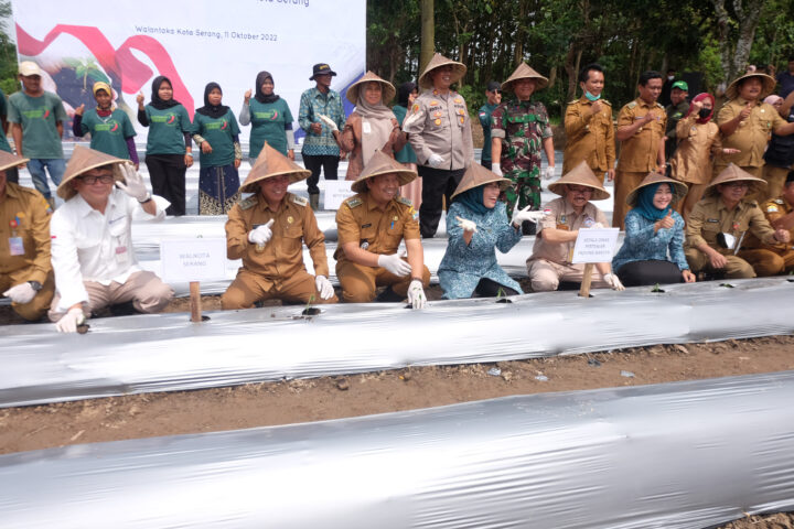 2 Doni Serang Tekan Inflasi Pemkot Serang Pemprov Banten dan BI Tanam Cabe 2 1