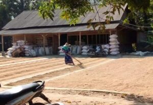 Petani menjemur gabah di Kecamatan Kaduhejo