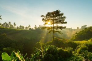 khutbah Jumat singkat