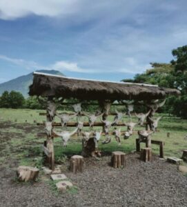 Taman Nasional Baluran terletak di Situbondo Jawa Timur