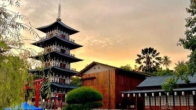 3 tempat wisata populer di Pekanbaru dengan sensasi ditengah Hutan