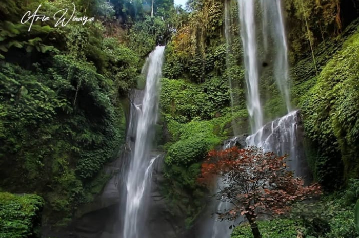 air terjun sekumpul