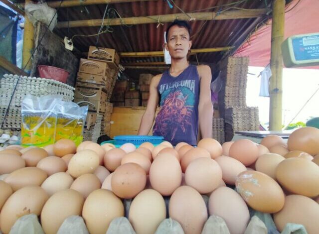 Harga telur ayam di Kota Serang mulai merangkak naik. Harga telur ayam di pasar tradisional Kota Serang dijual dikisaran Rp 30.000-Rp 31.000 per kilogram.
