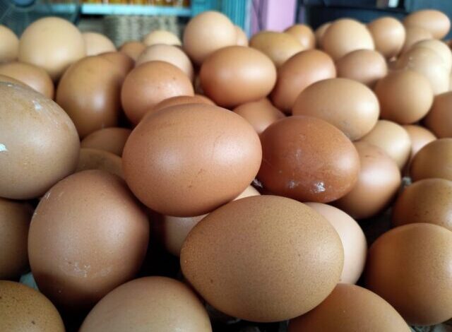 Dinkopukmperindag Kota Serang berencana akan menggelar operasi pasar. Operasi pasar dilakukan untuk menstabilkan harga telur ayam yang tengah meroket di pasar.