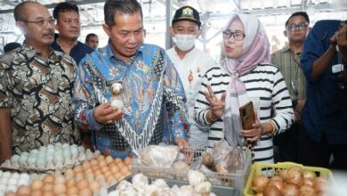 Walikota Serang Syafrudin janji carikan solusi terkait melambungnya harga telur ayam di pasar. Syafrudin bilang hal ini saat sidak ke Pasar Lama, Kota Serang.