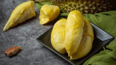 apakah ibu menyusui boleh makan durian