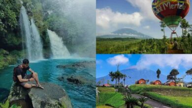 Inilah informasi seputar 3 rekomendasi tempat wisata di Purbalingga dengan pesona alam yang sangat indah dan menawan.