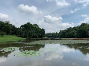 Danau Dora Kebun Raya Cibinong, salah satu destinasi wisata di Cibinong. (Google Maps/Pramoto Aji)