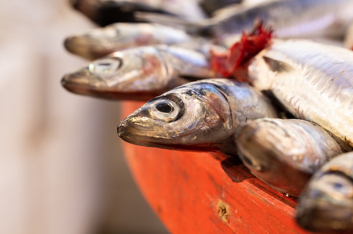 Ikan yang Boleh Dimakan Penderita Asam Lambung