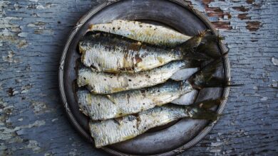 Ikan asin, salah satu makanan awetan dari bahan hewani. (Pixabay/DanaTentis)