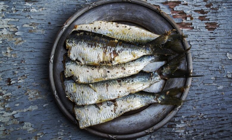 Ikan asin, salah satu makanan awetan dari bahan hewani. (Pixabay/DanaTentis)