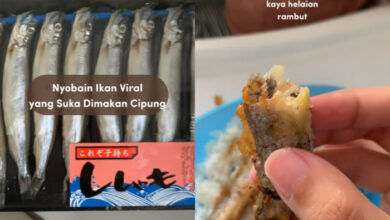 ikan Shisamo yang viral di TikTok
