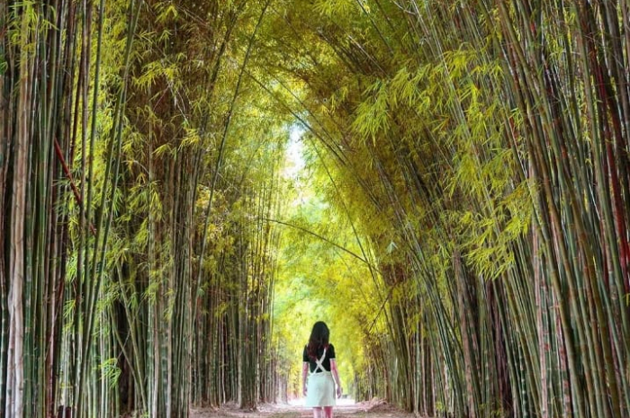 Hutan Bambu Keputih