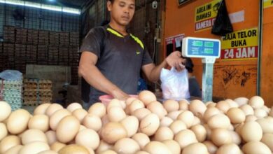 Pekan Jelang Idul Adha Harga Sembako di Pasar Induk Rau Meroket