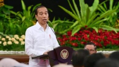 Presiden Jokowi larang pembuatan aplikasi baru