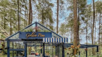 Golden Pine Cafe