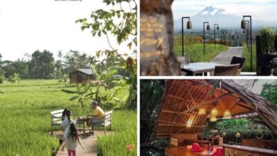 3 rekomendasi tempat makan di Jogja dengan view alam