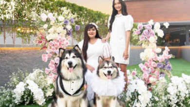 pernikahan anjing Jojo dan Luna