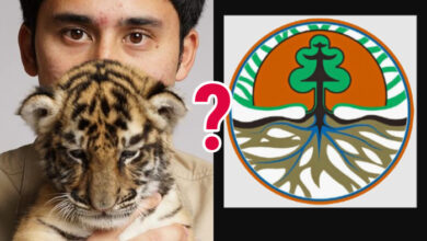 BKSDA disorot setelah kematian harimau milik Alshad Ahmad