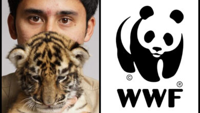 WWF Indonesia kecam Alshad Ahmad