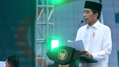 Presiden Jokowi ingatkan stabilitas nasional