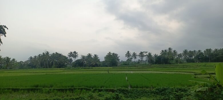 Banten Selatan