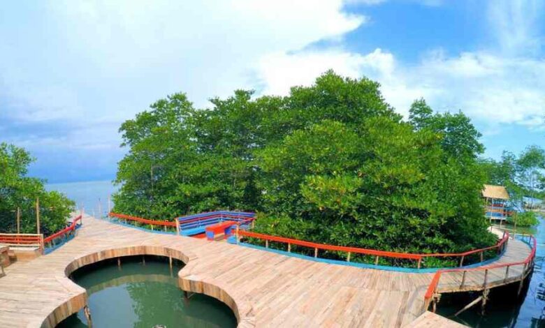 3 rekomendasi wisata di Lampung yang hits selain pantai, alamnya indah untuk piknik bareng keluarga