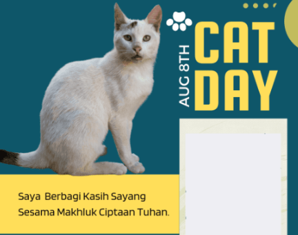 15 ucapan selamat Hari Kucing Sedunia 2023.