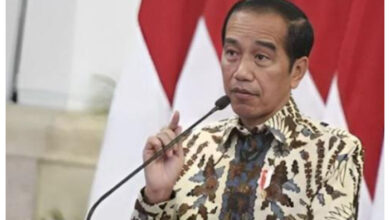 Jokowi minta Alumi LPDP pulang, meski Gaji di Luar Negeri lebih tinggi
