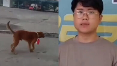 Viral video seorang pria mengalungkan bendera merah putih di leher seekor anjing