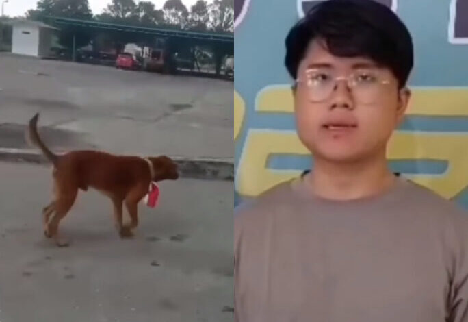 Viral video seorang pria mengalungkan bendera merah putih di leher seekor anjing