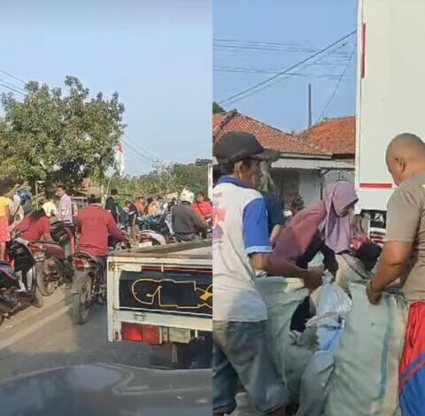 Potret warga Indramayu sedang mengambil puluhan susu Bear Brand yang jatuh pasca kecelakaan mobil Bear Brand. (Instagram/@indramayuinfo)