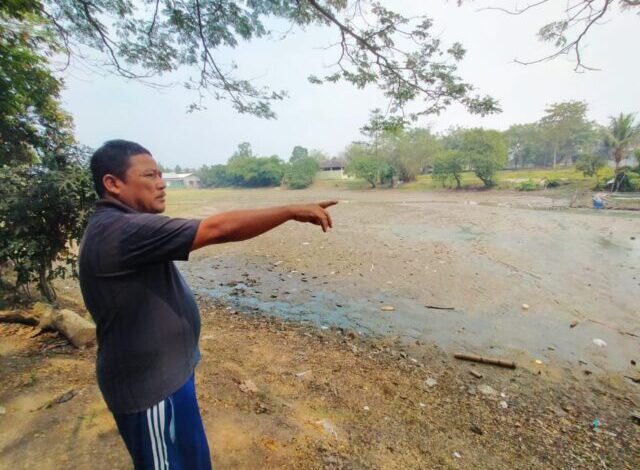 Situ Ciwaka kekeringan, ribuan hektare sawah di Walantaka Kota Serang terancam kekeringan dan gagal panen