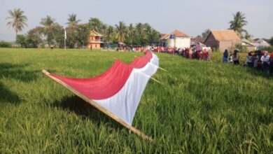 Warga Sukadiri kota Serang gelar upacara HUT kemerdekaan RI dan bentangkan bendera merah putih sepanjang 78 meter di tengah sawah