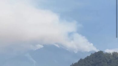 Kebakaran hutan di gunung Arjuno semakin meluas