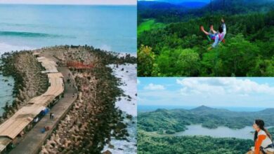 tempat wisata di Kulon Progo Yogyakarta yang viral dengan view alam dan bikin healing semakin berkesan