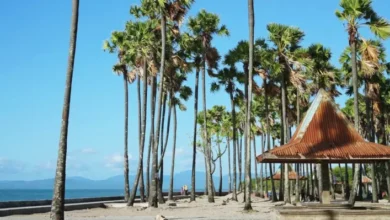 Tempat wisata tercantik di Kupang