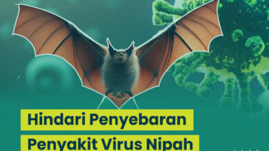virus nipah