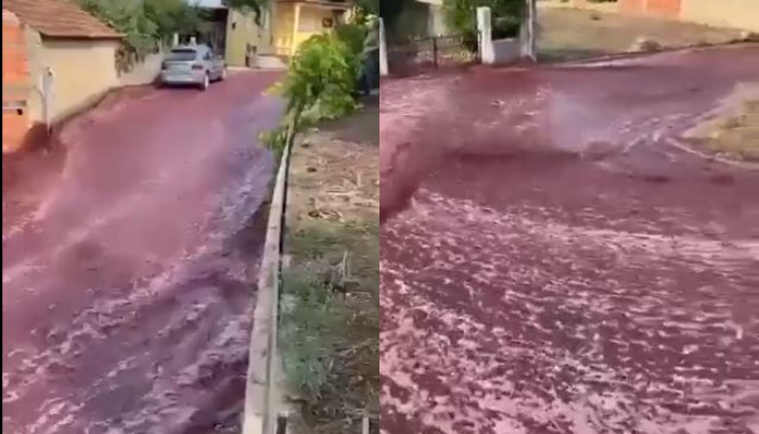 Portugal Banjir Anggur Merah
