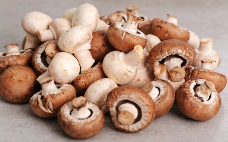 Manfaat jamur ajaib atau magic mushroom