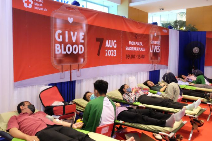 donor darah memicu panjang umur