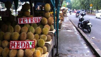 rekomendasi 5 tempat makan durian di Jakarta yang garansi enak dijamin puas yang bisa anda cobain