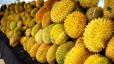 4 tempat makan durian di Bekasi terfavorit dijamin puas dan ada es krimnya yang bisa anda cobain