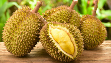 rekomendasi 3 tempat makan durian yang enak di Surabaya dan mulai dari Rp25 ribuan