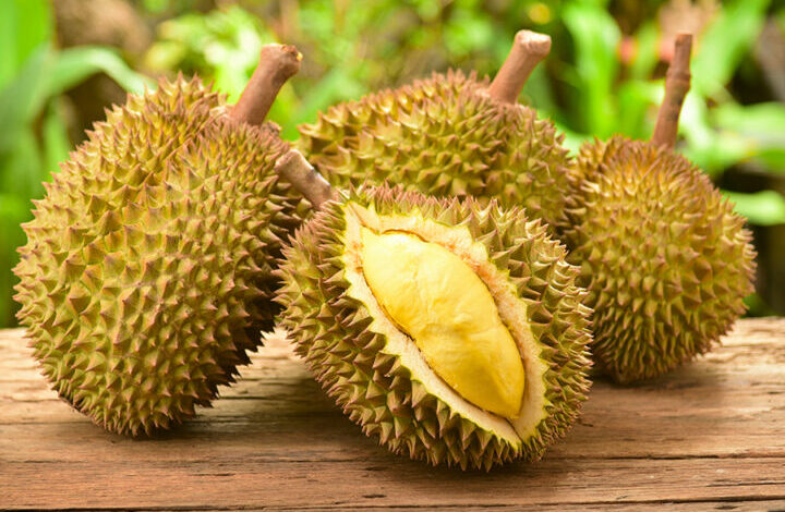 rekomendasi 3 tempat makan durian yang enak di Surabaya dan mulai dari Rp25 ribuan