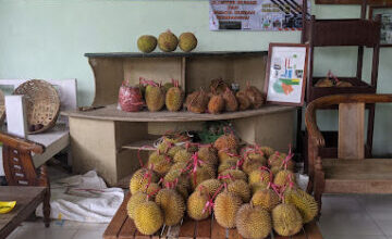 Rumah Durian Gebang, salah satu tempat makan durian enak di Jember. (Google Maps)