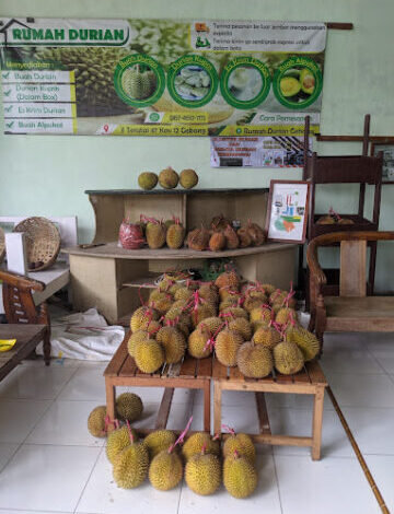 Rumah Durian Gebang, salah satu tempat makan durian enak di Jember. (Google Maps)