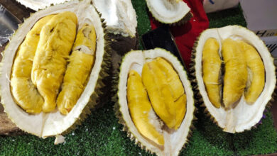 Tempat makan enak durian di Cirebon. (Google Maps/ Wisata Durian Golden K)